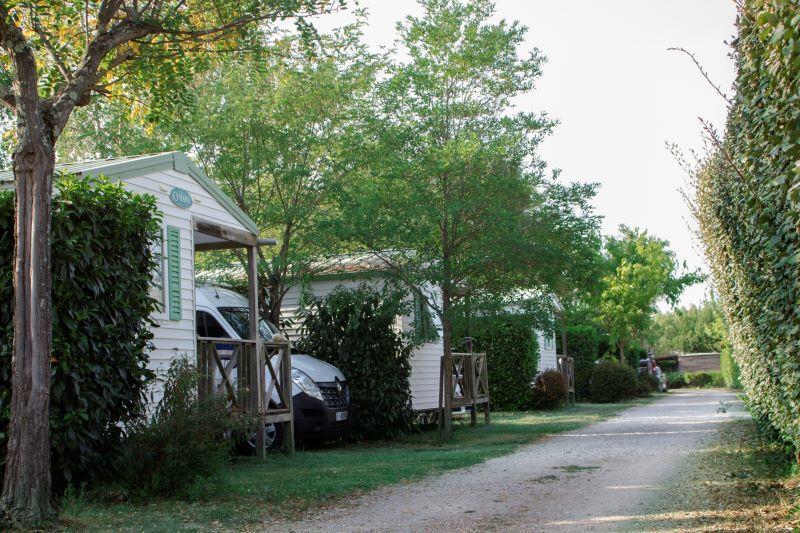 Quels sont les hébergements de vacances à louer au camping Le Pessac à Vielmur-sur-Agout ?